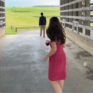 J. Crew Strapless Pink and Purple Dress